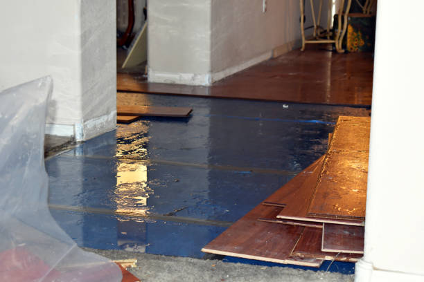 Professional Water Damage Restoration technician working in Cascade, IA